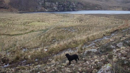 Boggy ground by Loch na Fideil