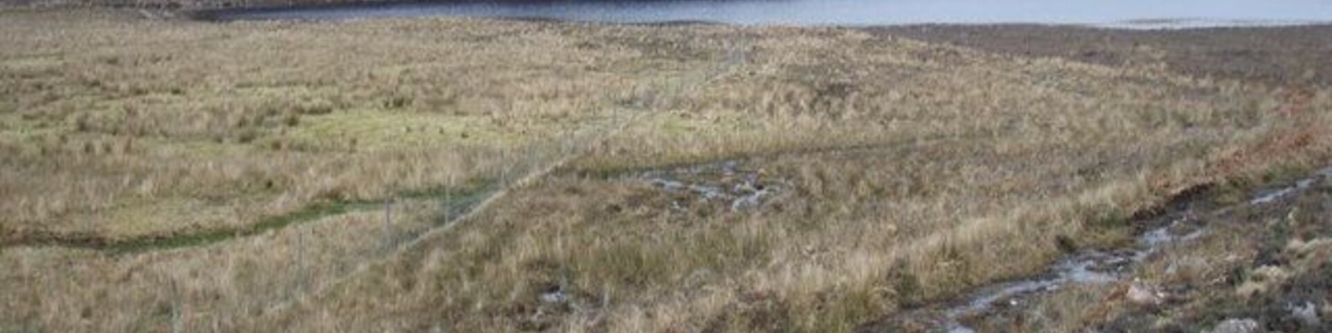 Boggy ground by Loch na Fideil
