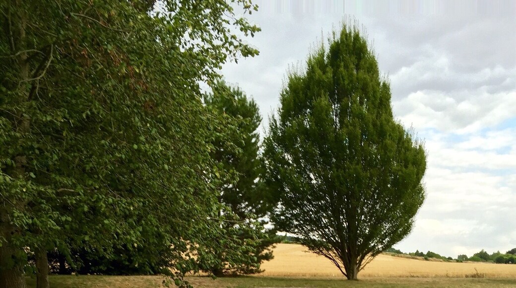 Une source d'eau d'antan, près du village de Vareilles, France.