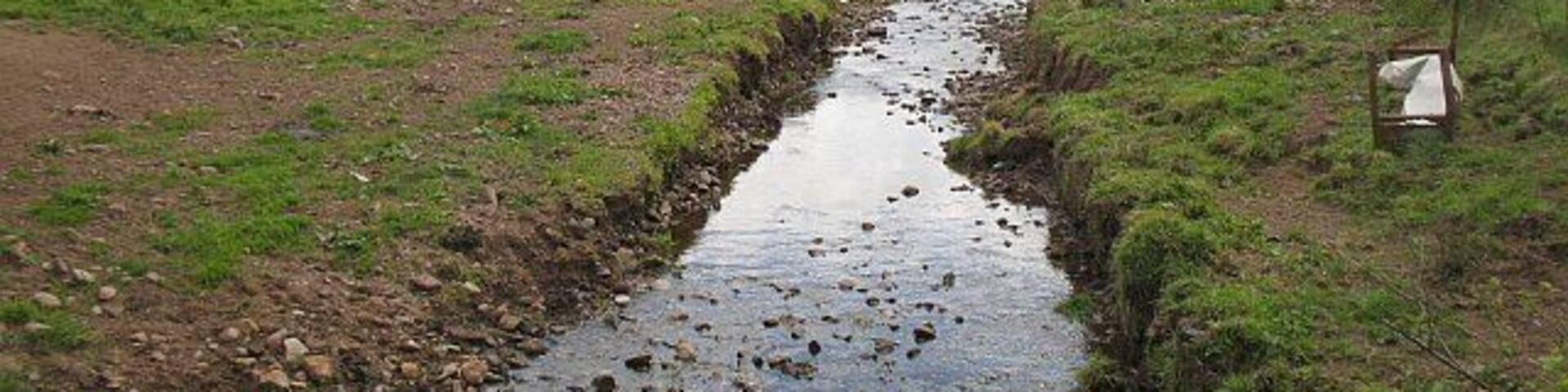 Burn below Mains of Buchlyvie A small burn provides drinking water for cattle.