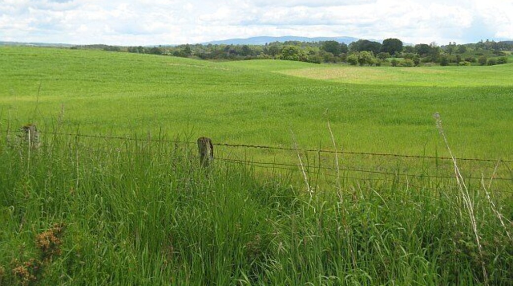 Arable land, Wester Mye Farmland on the edge of Flanders Moss, seen from the trackbed of the Strathendrick and Aberfoyle Railway just north of the site of Buchlyvie Junction.
