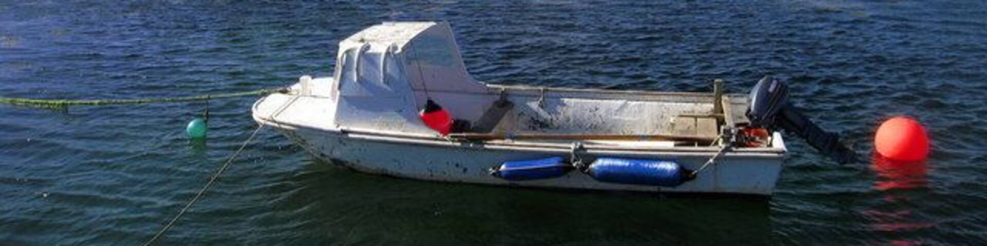 Loch Eatharna, Coll. View towards Arinagour. Arinagour Church is on the hill with the Coll Hotel located below. A daytime version of 200542.
