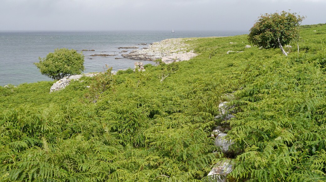 Ruins, Port nan Carannan