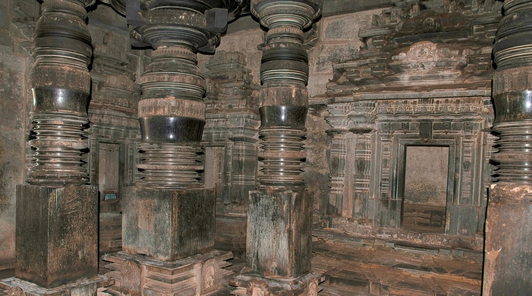 Huge carved black pillars, Parshvanatha, Basadi, Basadi Halli, Karnataka.