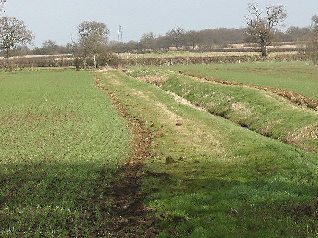 Drainage ditch near Priory Farm. This section of watercourse looks to be artificial, but on the map it would appear to be essentially the same stream as seen in Turvey village further downstream 1201240.