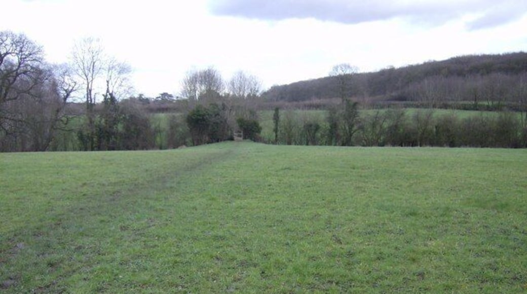 Footpath east of Jennetts Hill These fields can be flooded as we are in the River Pang flood plain. Therefore it is just grassland.