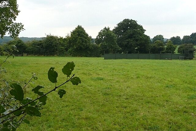 A grassy field with trees in the background and a fence.