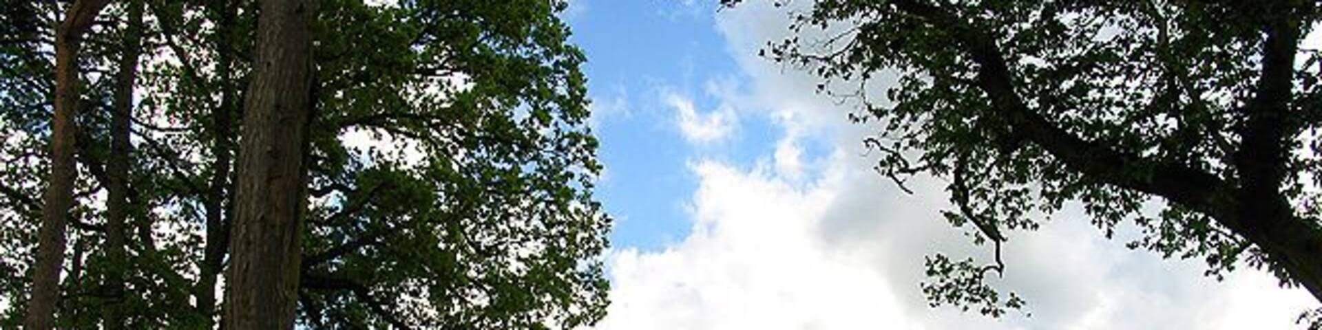 Bradfield House and Farm. This house and farm dominates this grid square. The house is situated in the centre of the grid square on Scratchface Lane. This view was taken from the road looking more or less west.