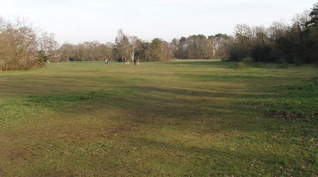 East Burnham Common Photo from the edge of the beech woods into this grassy area.