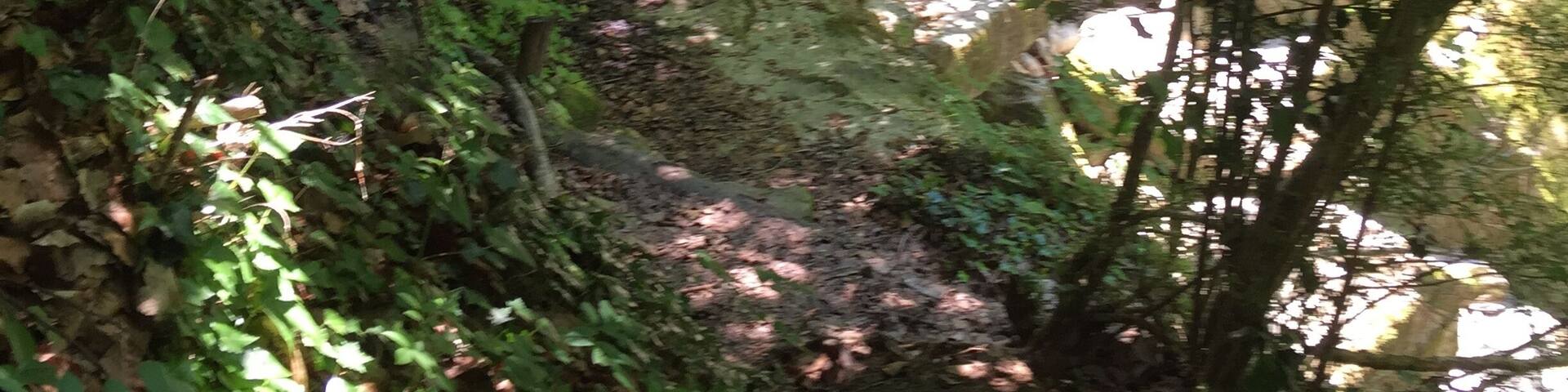 La Vall d'en Bas, Province of Girona, Spain