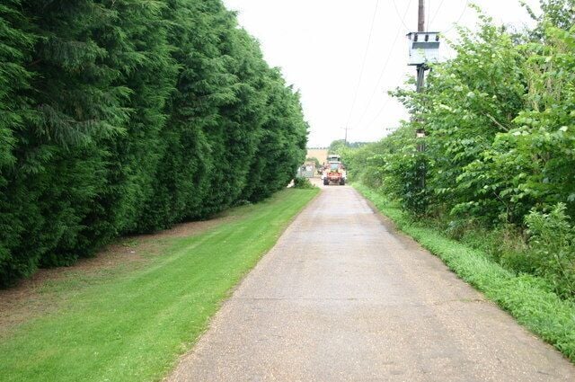 Lane up to Manor farm Lane up to Manor farm