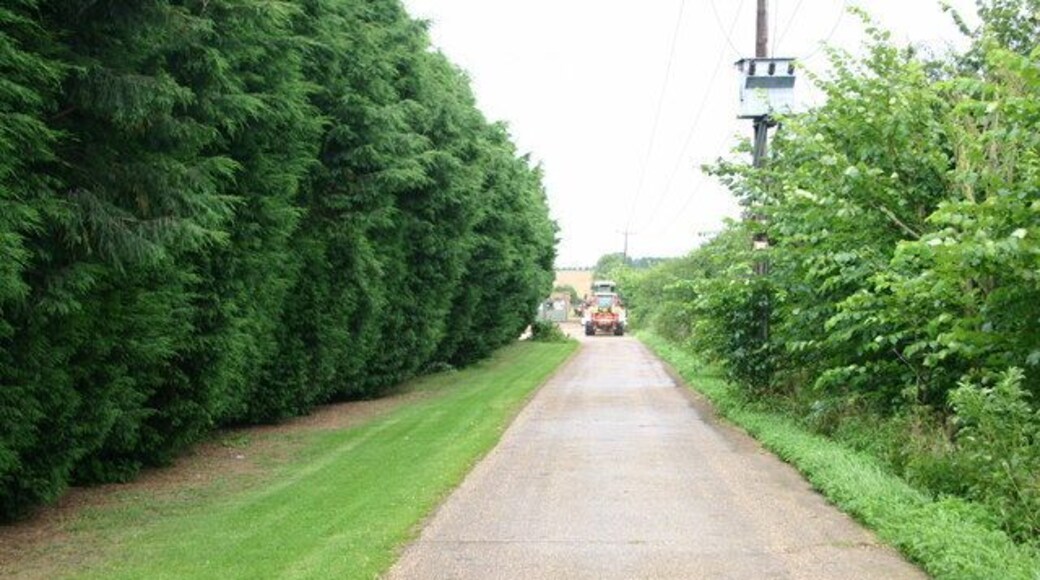 Lane up to Manor farm Lane up to Manor farm