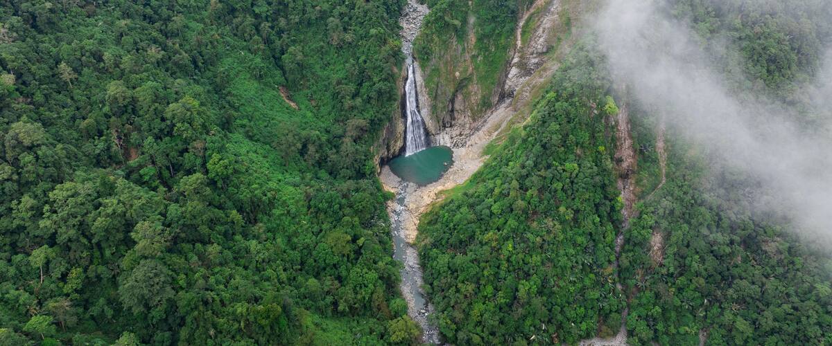A waterfall surrounded by dense forest.