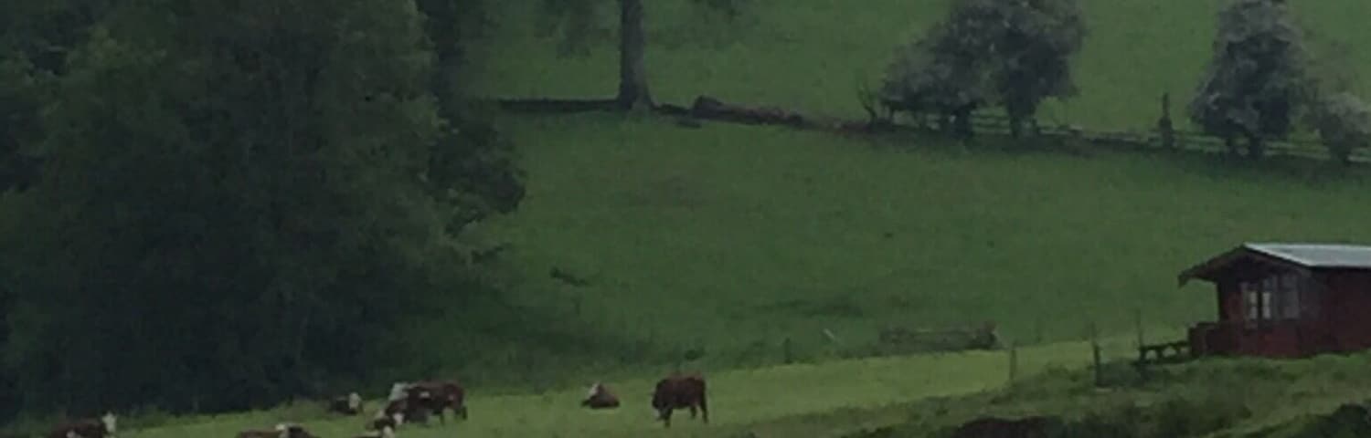 Canoe trip down the river wye, very peaceful with beautiful scenery.