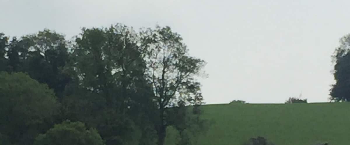 A rural landscape with a body of water, green fields, a few cows grazing, and a small red building.