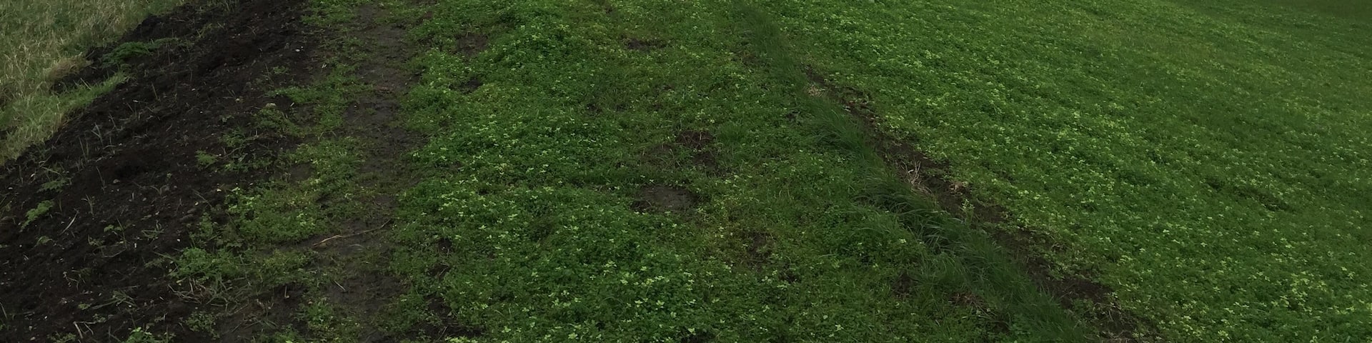 Flood barrier between Whittlesey and Eldernell