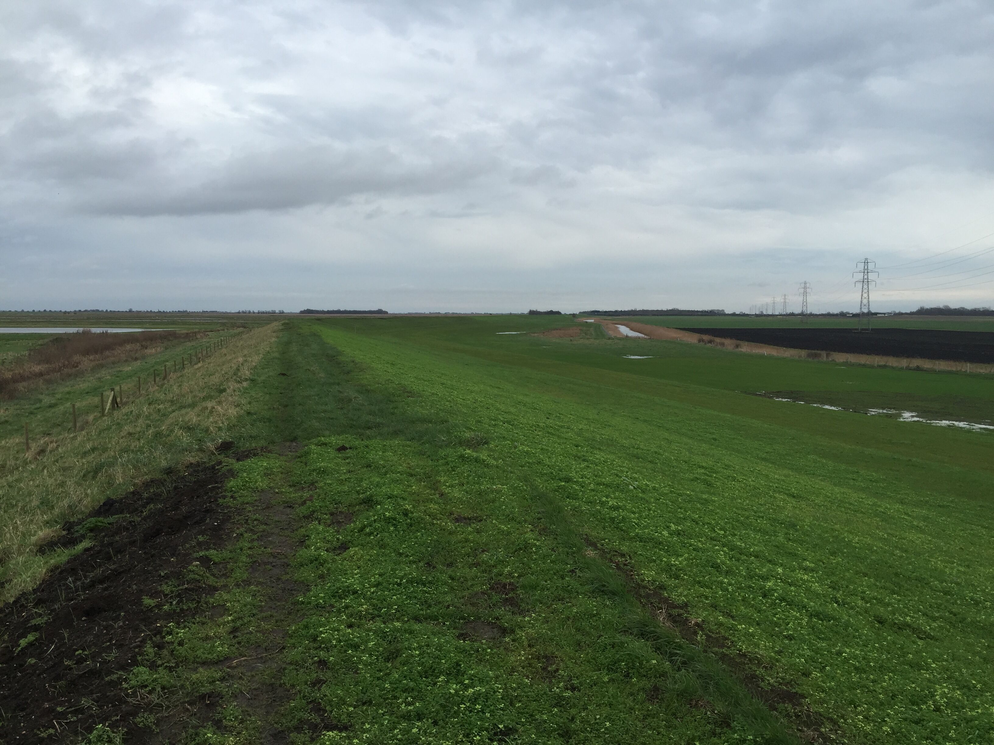 A vast green field with a dirt path, power lines, and distant buildings.