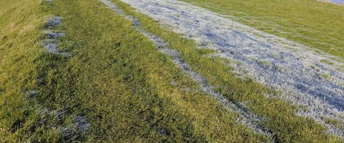 South Bank, Nr Eldernell