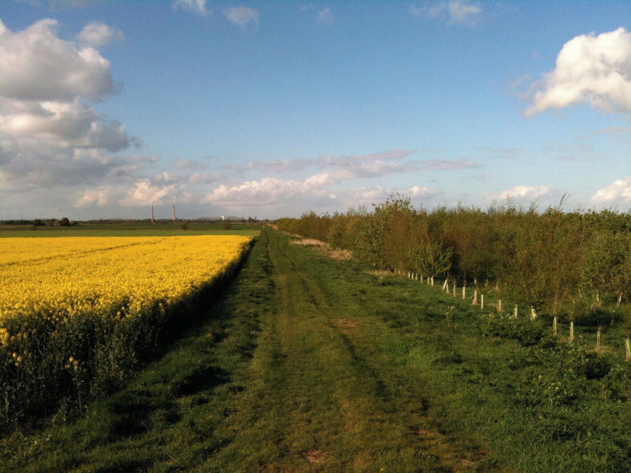 Walking between Whittlesey and Pondersbridge