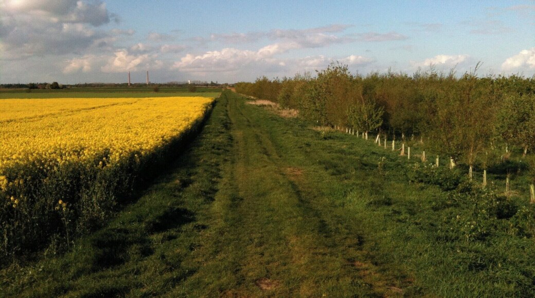 Walking between Whittlesey and Pondersbridge