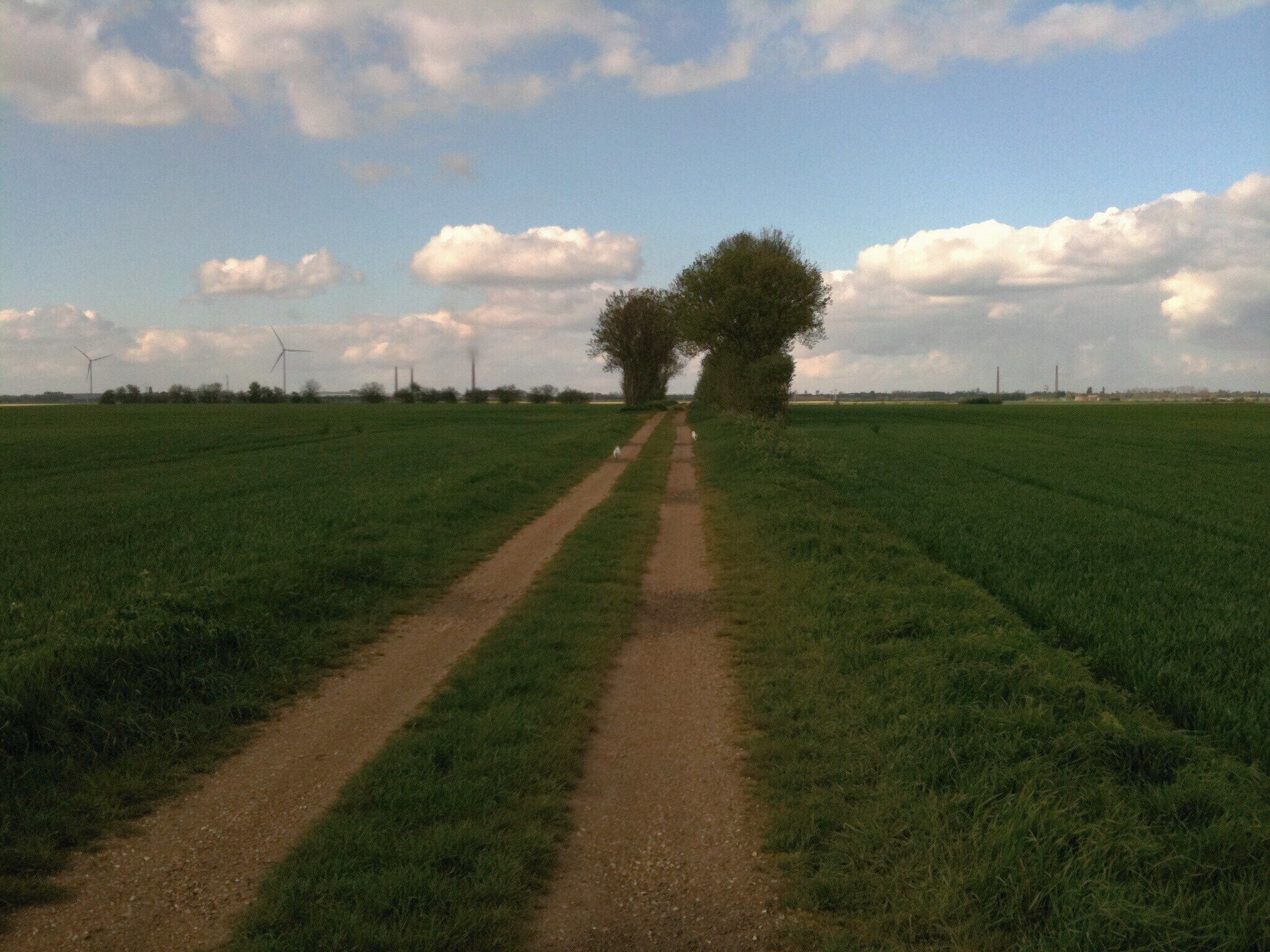 Walking between Whittlesey and Pondersbridge