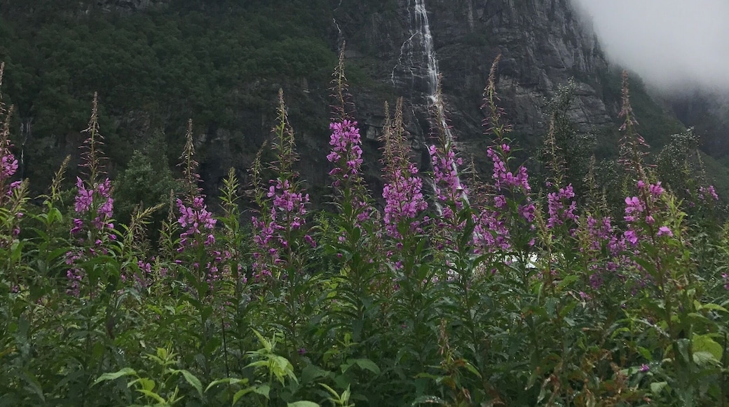 Weather has not let up in 3 days.