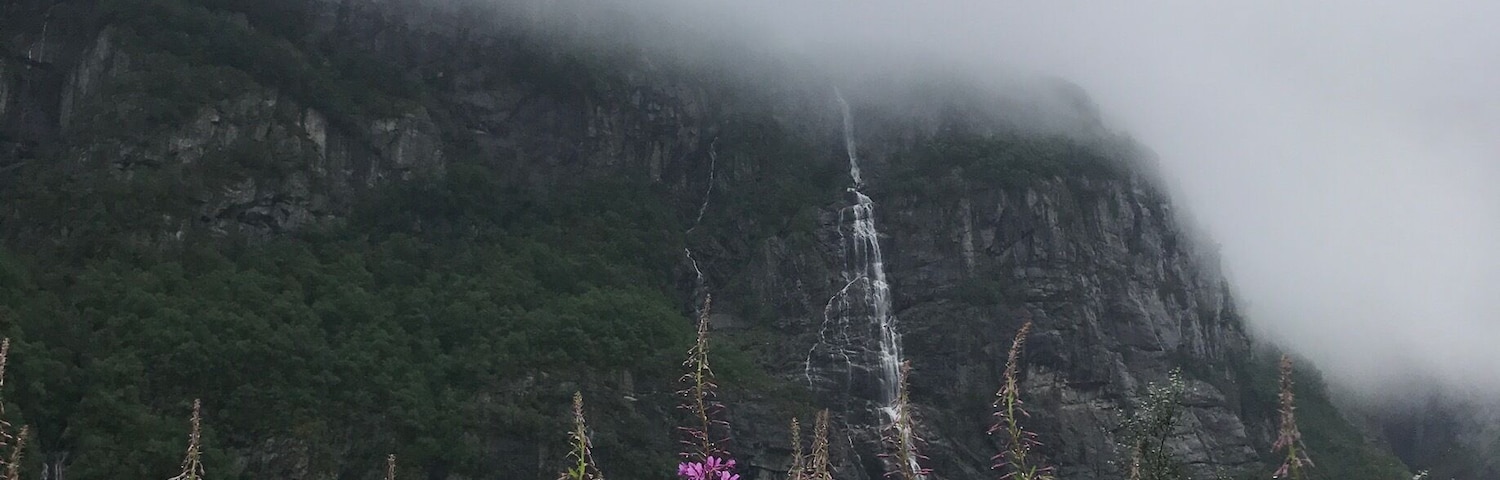 Una cascada se precipita por un acantilado rocoso rodeado de vegetación exuberante y flores púrpuras.