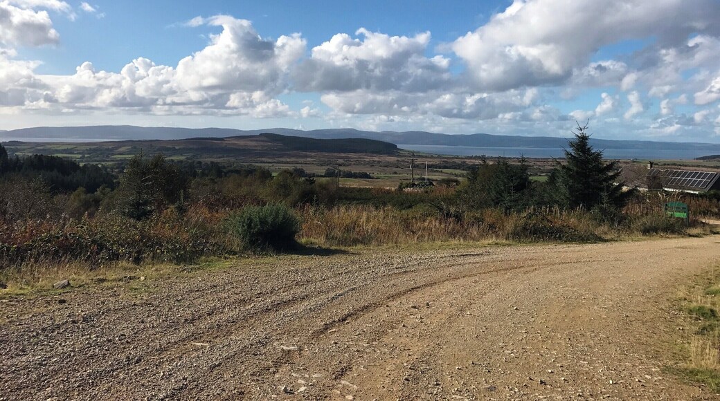 Utterly clear skies on the forest track looking across to the mainland, Mull of Kintyre.