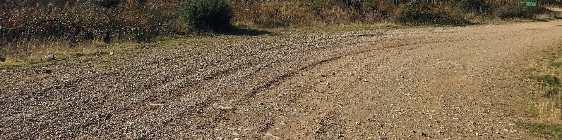 Utterly clear skies on the forest track looking across to the mainland, Mull of Kintyre.