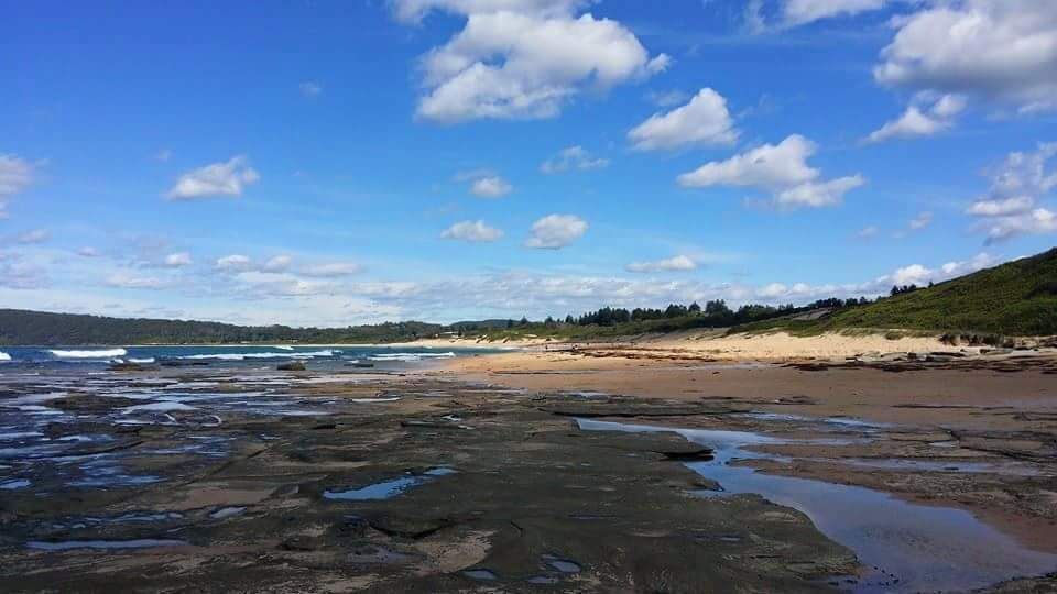 View at North Shelly