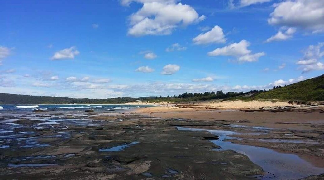 View at North Shelly