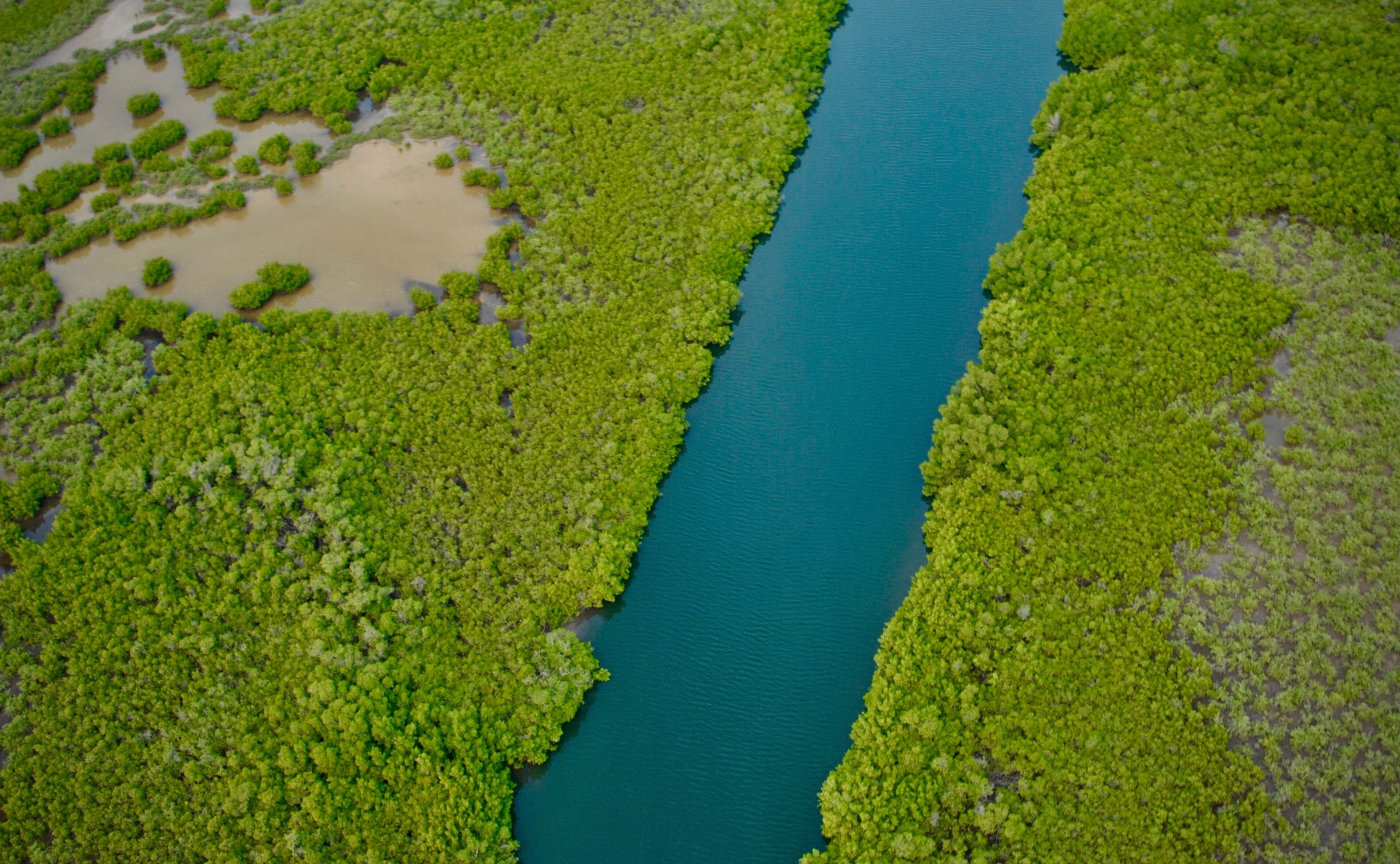 Delta du Saloum vu du ciel, prise en autogire.