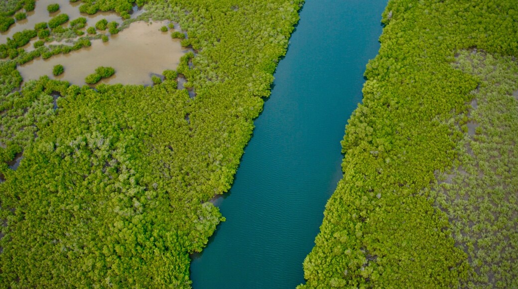 Delta du Saloum vu du ciel, prise en autogire.