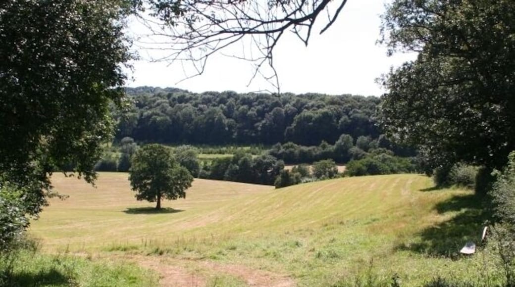 Worcestershire Way near Birchwood. The Worcestershire Way long distance footpath has been moved. The current OS 1:50000 doesn't show this as a footpath, but the 1:25000 is correct. A most welcoming seat has been provided 522257.