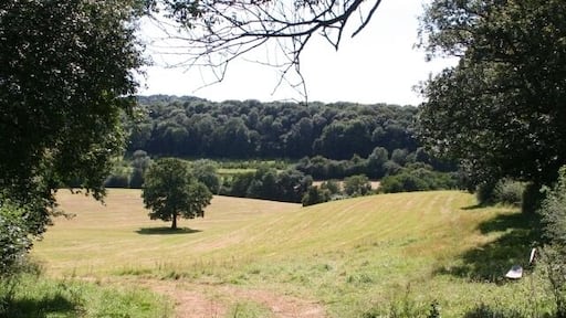 Worcestershire Way near Birchwood. The Worcestershire Way long distance footpath has been moved. The current OS 1:50000 doesn't show this as a footpath, but the 1:25000 is correct. A most welcoming seat has been provided 522257.