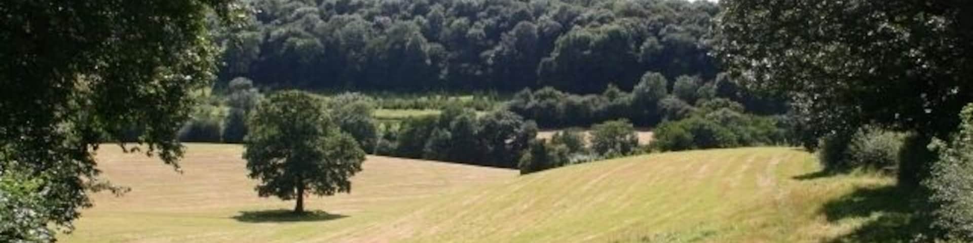 Worcestershire Way near Birchwood. The Worcestershire Way long distance footpath has been moved. The current OS 1:50000 doesn't show this as a footpath, but the 1:25000 is correct. A most welcoming seat has been provided 522257.