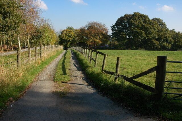 Farm road near Birchwood Lodge Farm Farm driveway to the south of Birchwood Lodge Farm.