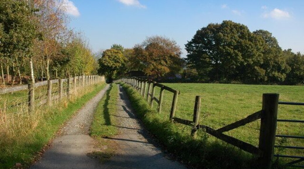 Farm road near Birchwood Lodge Farm Farm driveway to the south of Birchwood Lodge Farm.
