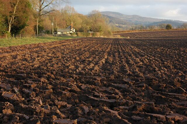 Cottage and ploughed field at Westfield, near Cradley A cottage beside a ploughed field and footpath to Mathon. The Malvern Hills are in the background.