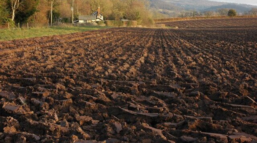 Cottage and ploughed field at Westfield, near Cradley A cottage beside a ploughed field and footpath to Mathon. The Malvern Hills are in the background.