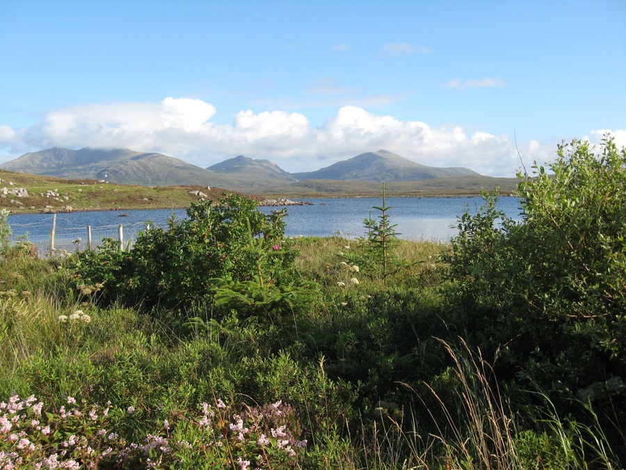 View across Loch Druidbeag