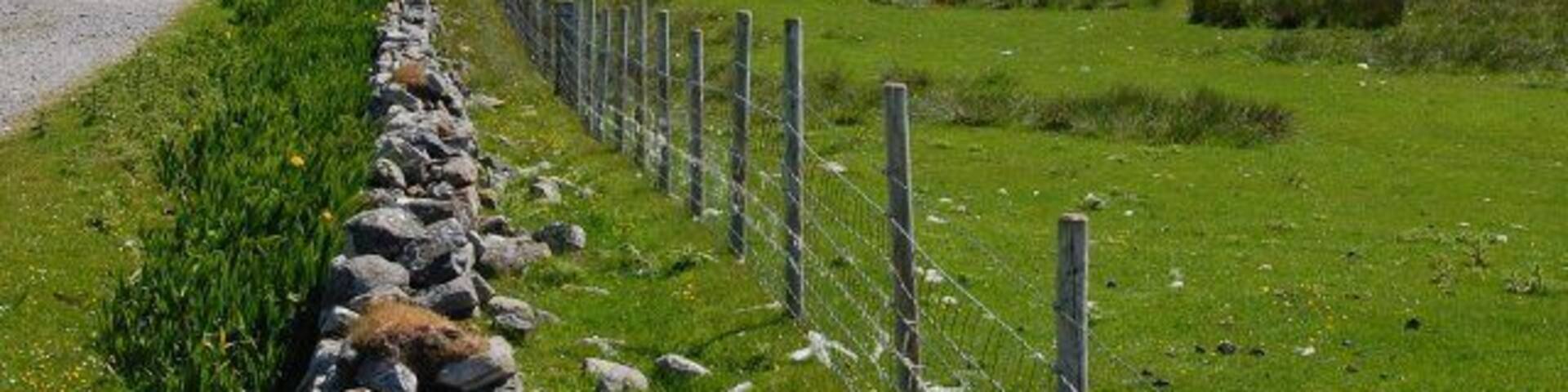 Grogarry Lodge Groigearraidh Lodge. Let as a sporting lodge for country pursuits on the South Uist estate (as was). The house has a beautiful wedge-shaped wood on the driveway, shaped by the extreme westerly-prevailing winds.