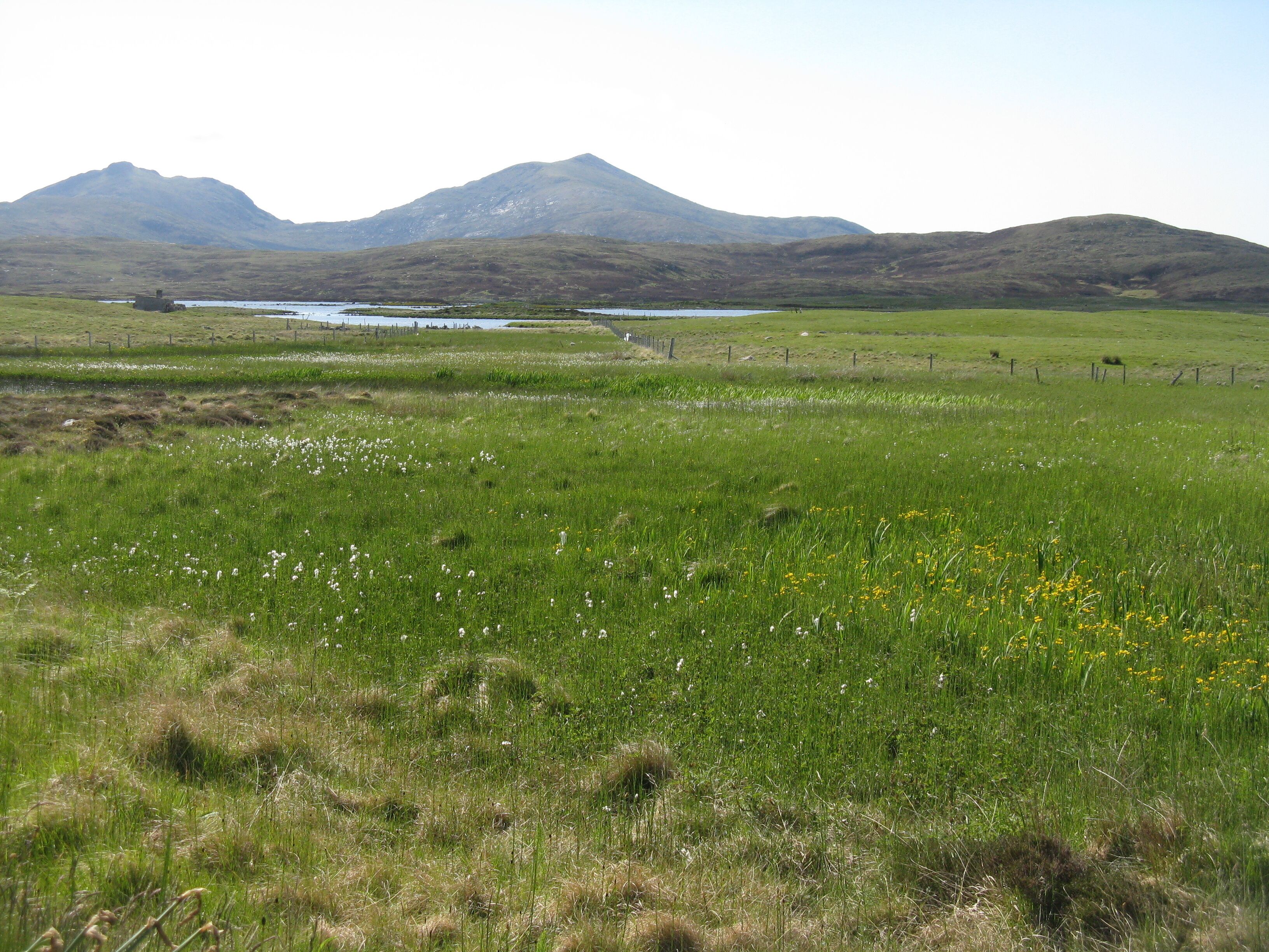 A grassy field with a lake and mountains in the background.