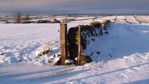Farmland and Hedley Park Farm in Winter