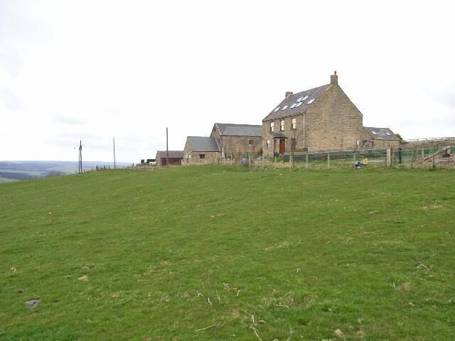 Hedley Grange Farm Farm stands high on the hillside, just below Hedley-on-the-Hill village.