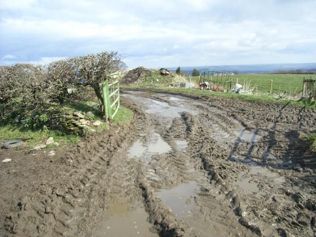 Farm road at Hedley-on-the-Hill Extremely muddy going
