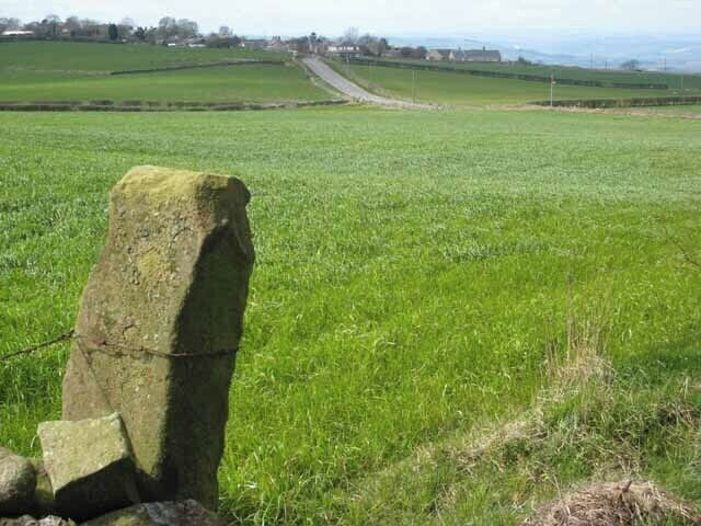 Hedley on the Hill A village perched perched high on the crest of the ridge between the Derwent valley and Tynedale at an altitudeof about 240 metres.