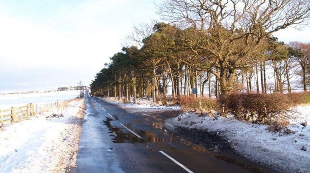 Junction to Airey Hill east of Hedley on the Hill