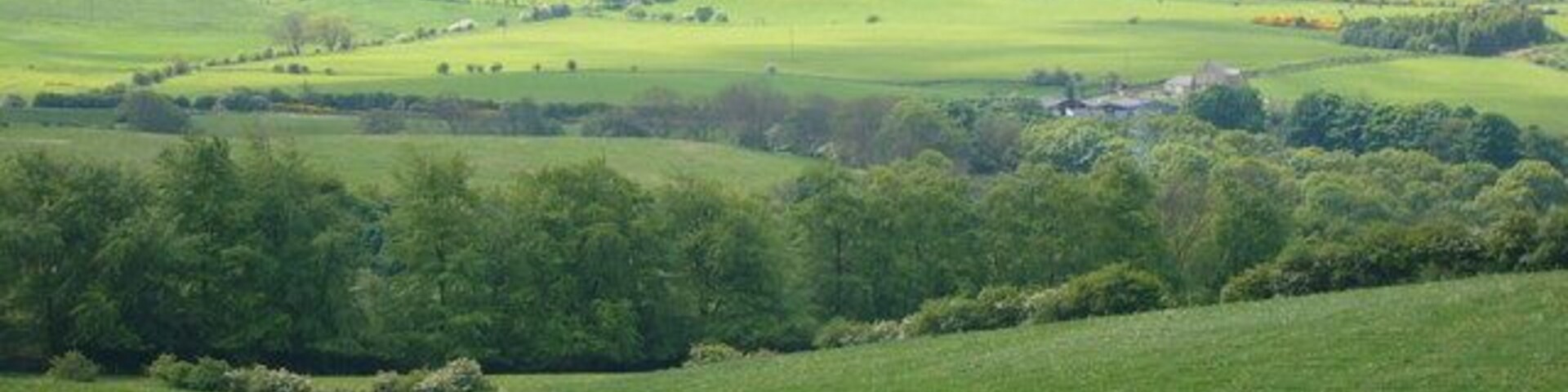 Looking towards Kipperlynn and Whittonstall Common from Cockshot Hill