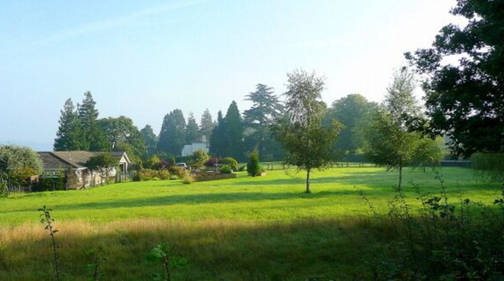 Parkland scene A property on the plateau above Bulls Hill.